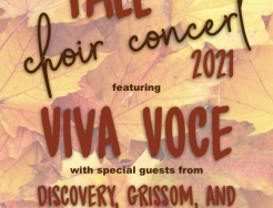 Viva Voce poster